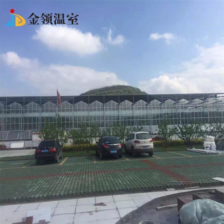 玻璃智能溫室大棚